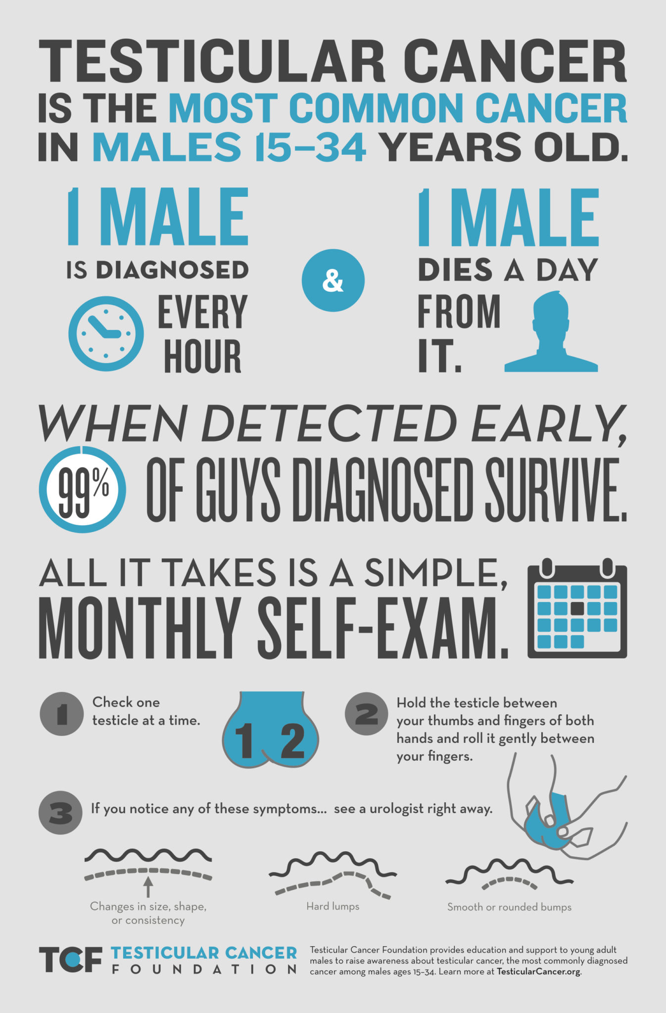 Testicular_CANCER_TCF_InfographicFinal11x17 Testicular_CANCER_TCF_Infographic