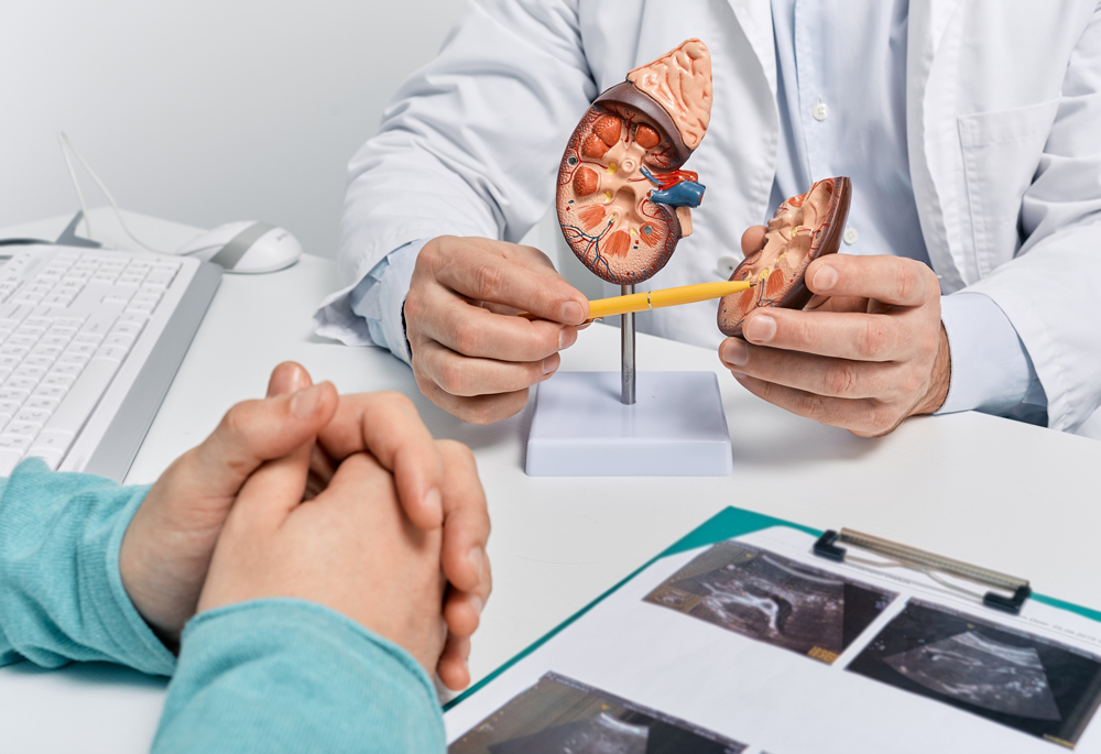 stockurology-and-treatment-of-kidney-disease-doctor-an-2025-04-01-20-38-57-utc