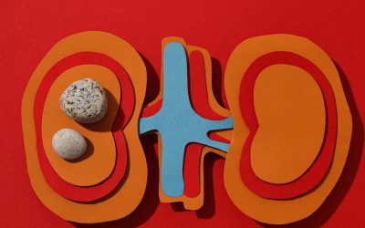 June Health Message: Kidney Health and Urology